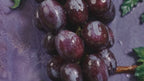 Grapevine Wall Art